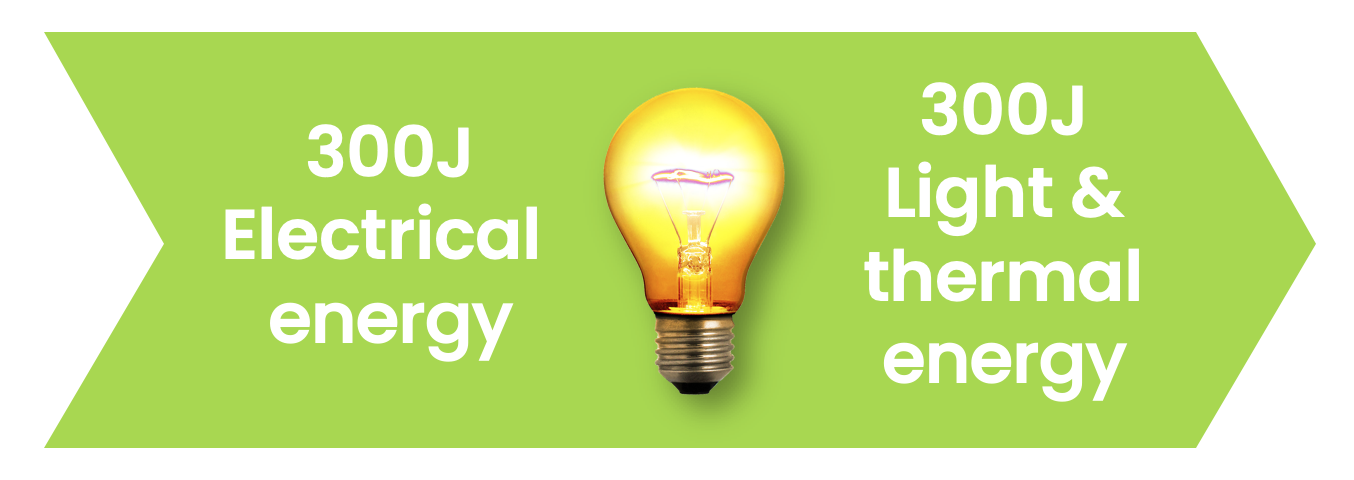 Conservation of energy in a light bulb (300 J electrical energy in goes to 300J light and thermal energy out).