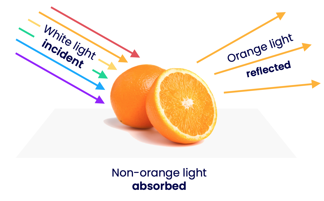 An orange reflecting orange light