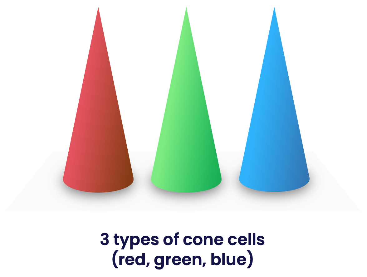 3 coloured cones