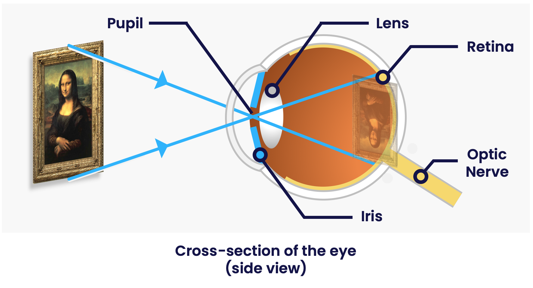 eye diagram