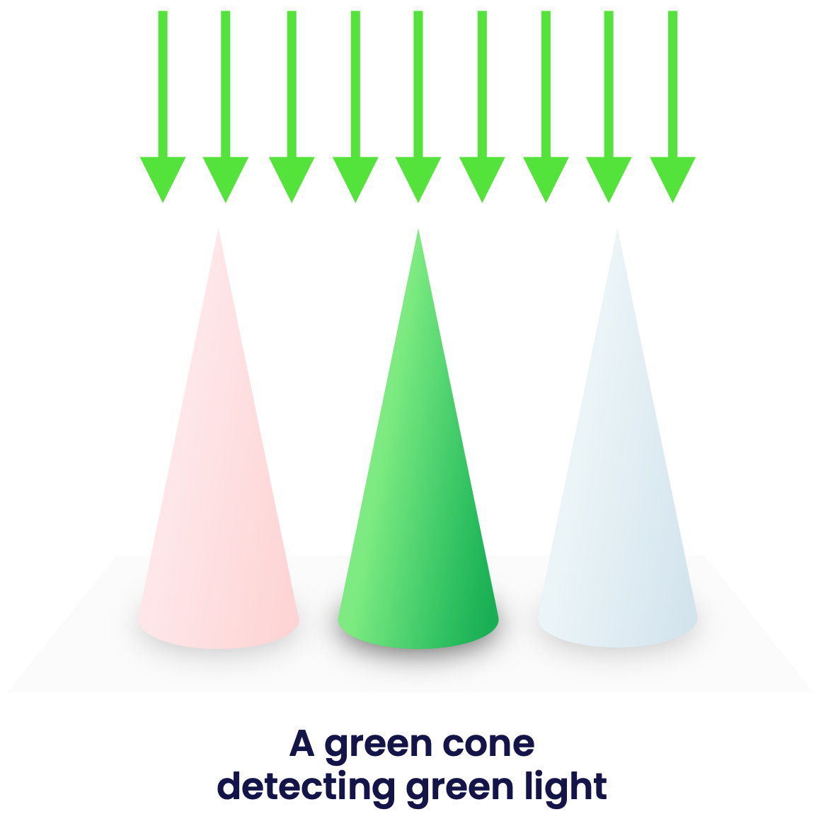 green light cone