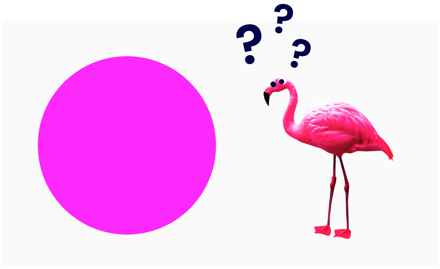 pink and confused flamingo