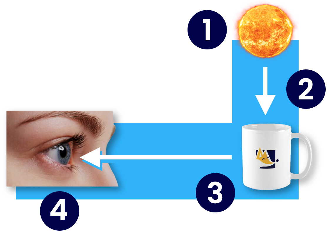 Light travels from sun, to mug, to eye. The steps are labelled 1,2,3,4.