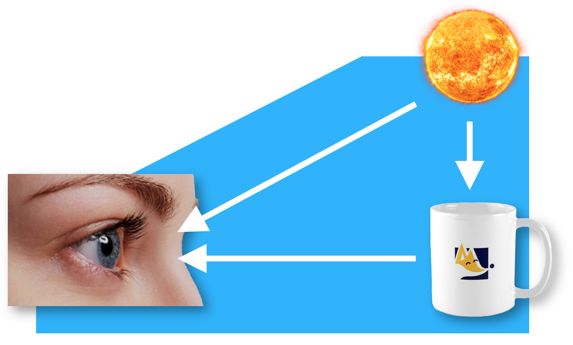 Light coming from the sun, bouncing off a mug, and going into the eye