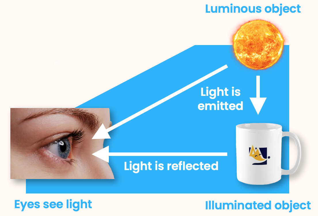 Light coming from the luminous sun, reflecting off an illuminated mug, and into the eye